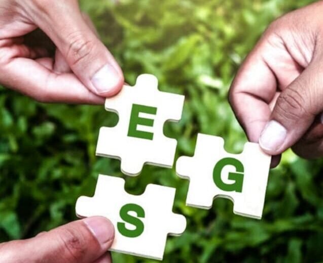 People holding puzzle pieces labeled E, S, and G on green grass, symbolizing Environmental, Social, and Governance collaboration