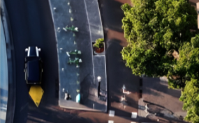 Office road near modern IT building with cars and trees.